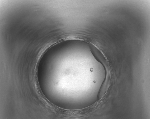 X0000054390289200508051655