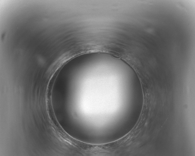 X0000054390290200508051655