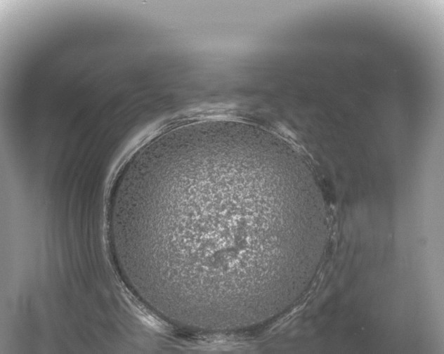 X0000054390293200508051654