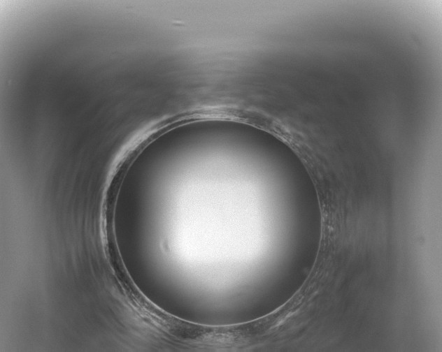 X0000054390294200508051654