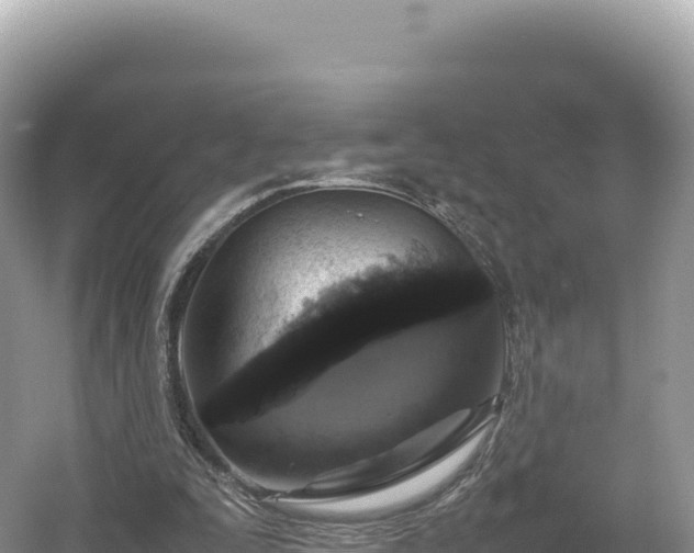 X0000054390295200508051654