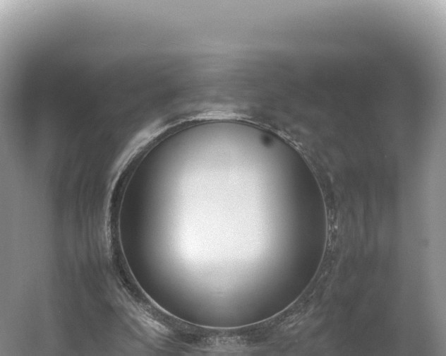 X0000054390296200508051654