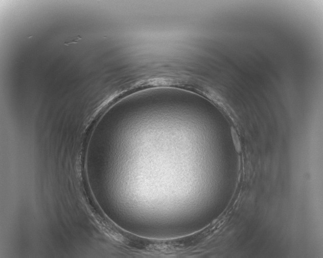 X0000054390297200508051654