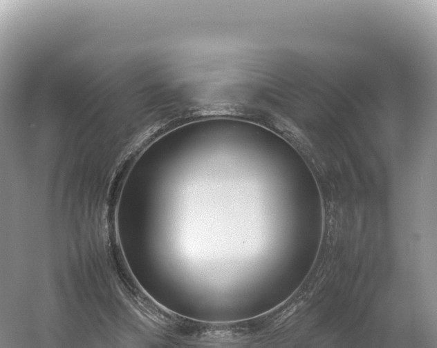 X0000054390298200508051654