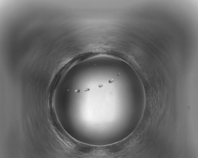 X0000054390299200508051654