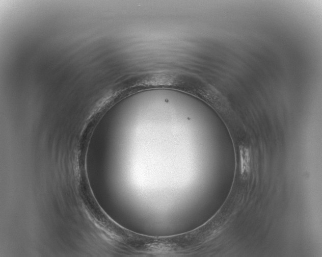 X0000054390300200508051654