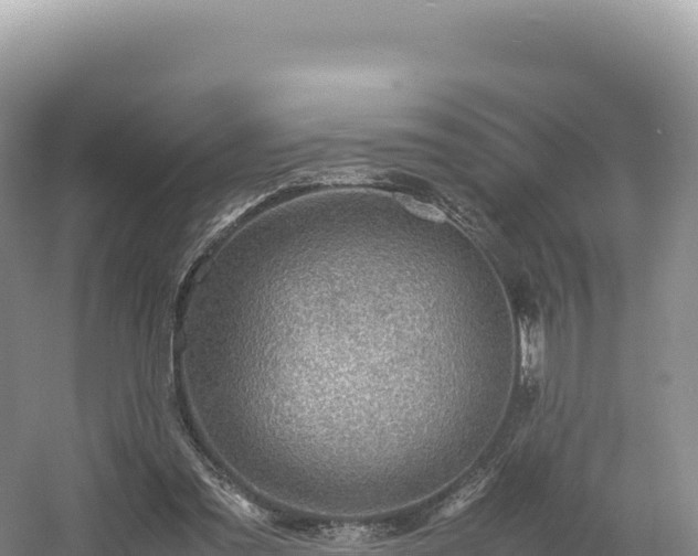 X0000054390301200508051654