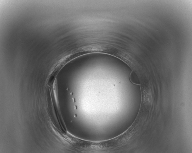 X0000054390302200508051654