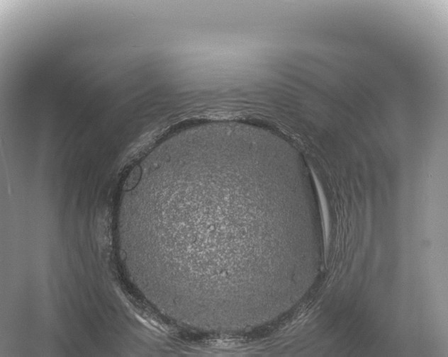 X0000054390303200508051654