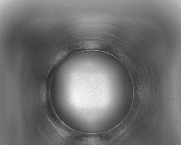 X0000054390304200508051654