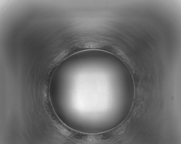 X0000054390305200508051654