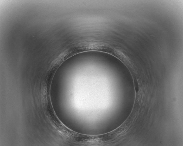 X0000054390306200508051654