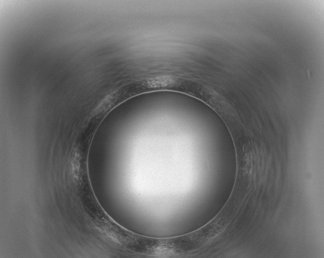 X0000054390308200508051654