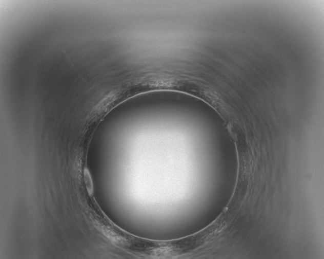 X0000054390309200508051654