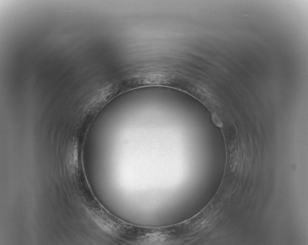 X0000054390310200508051654