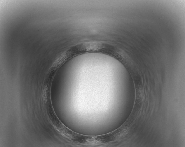 X0000054390311200508051654