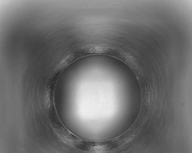 X0000054390312200508051654