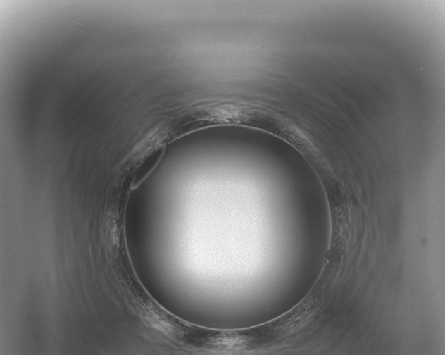 X0000054390313200508051654