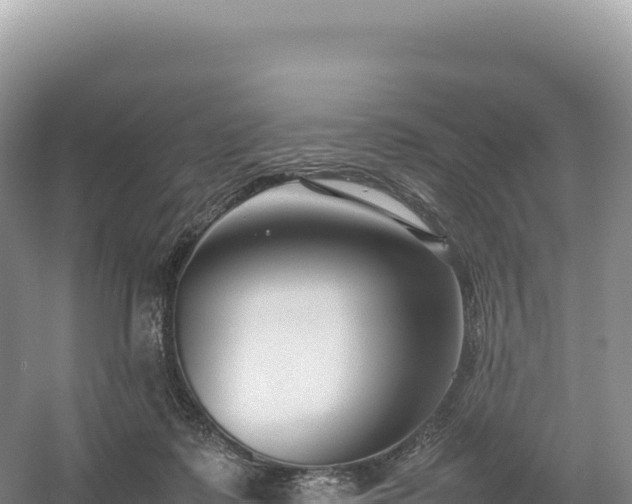 X0000054390315200508051654