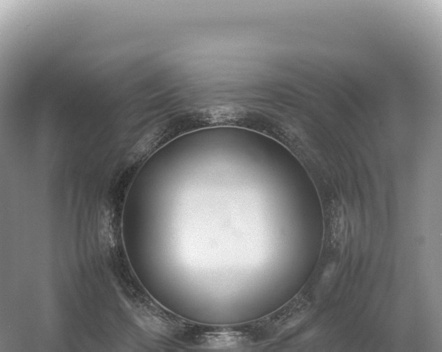 X0000054390316200508051654