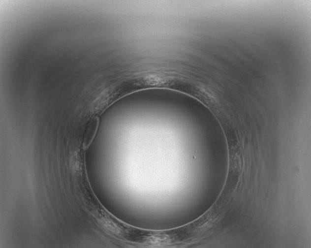 X0000054390317200508051654