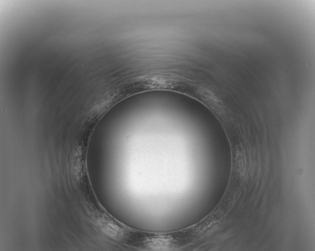 X0000054390318200508051654