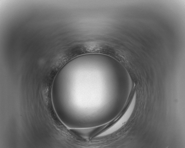 X0000054390319200508051654