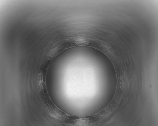 X0000054390320200508051654