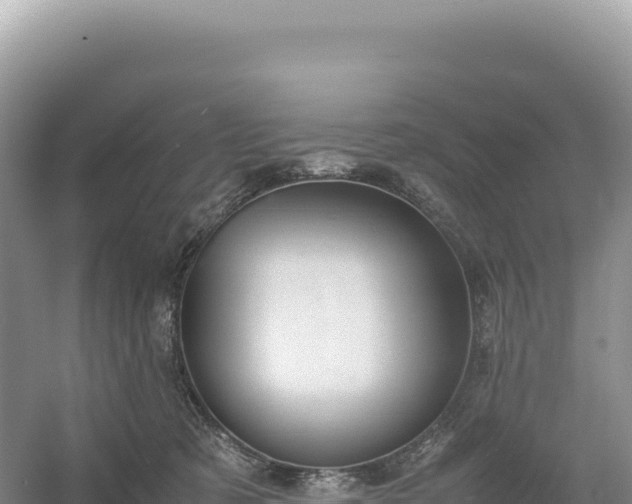 X0000054390321200508051654