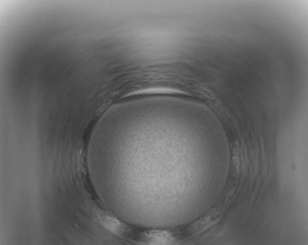 X0000054390322200508051654