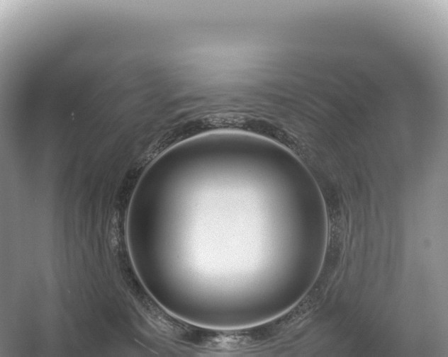 X0000054390323200508051654