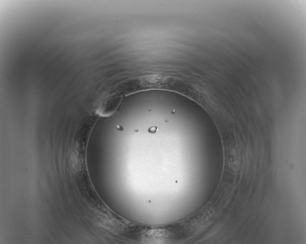 X0000054390324200508051654