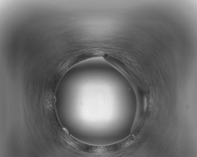 X0000054390325200508051654