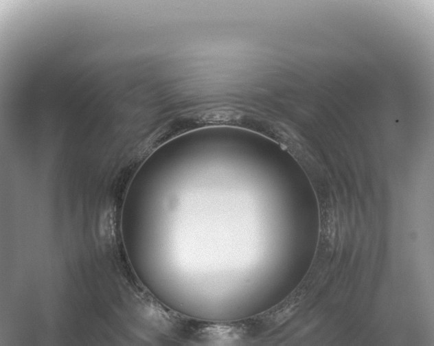 X0000054390326200508051654