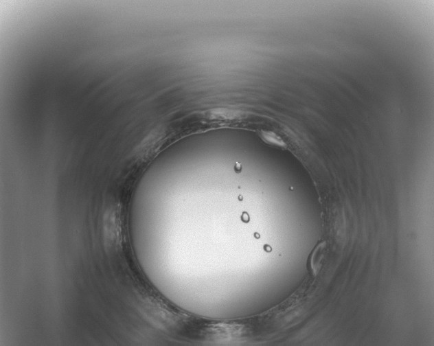 X0000054390328200508051654