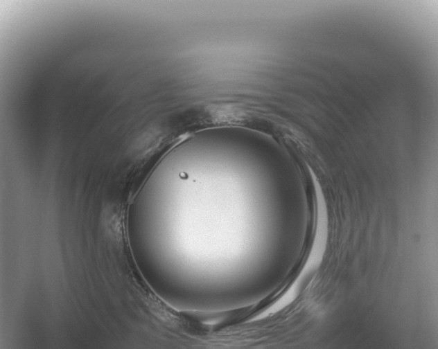 X0000054390329200508051654