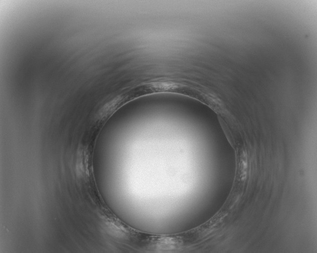 X0000054390330200508051654