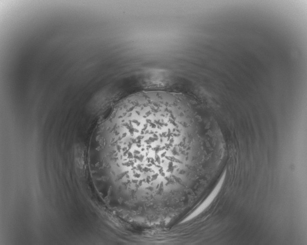 X0000054390331200508051654