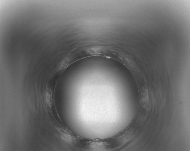 X0000054390332200508051654