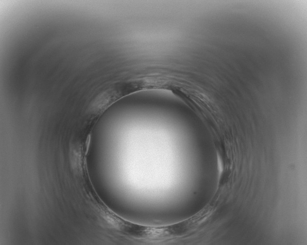 X0000054390333200508051654