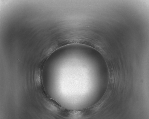 X0000054390334200508051654