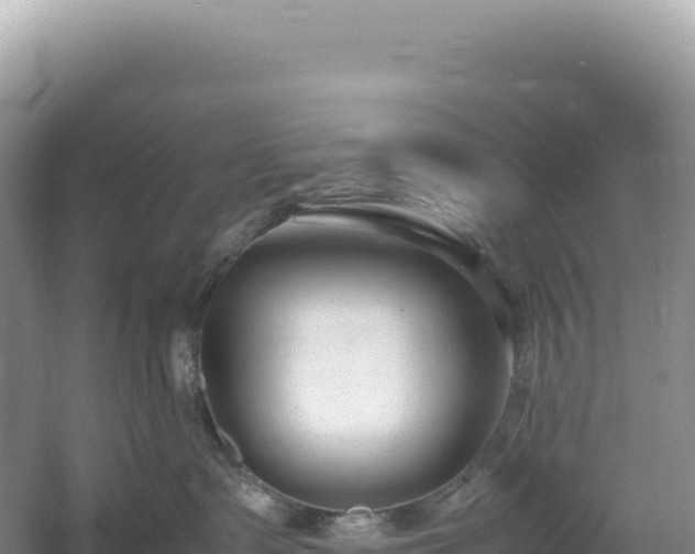 X0000054390335200508051654