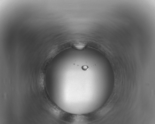 X0000054390336200508051654