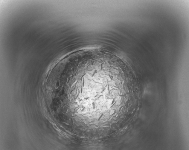 X0000054390337200508051653