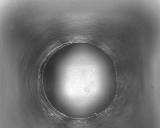 X0000054390338200508051653