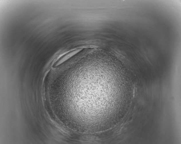 X0000054390339200508051653