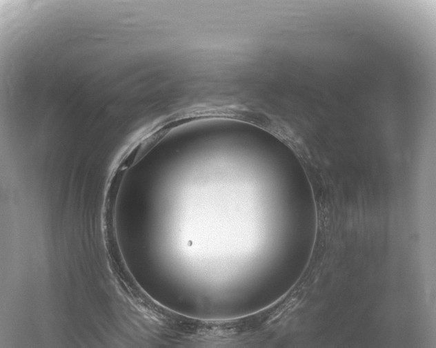 X0000054390340200508051653