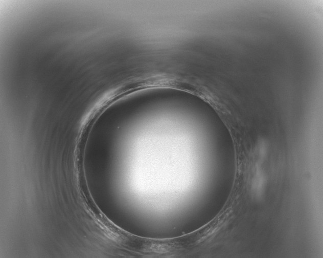 X0000054390341200508051653