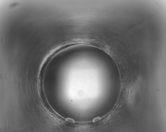 X0000054390342200508051653