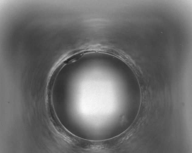 X0000054390344200508051653